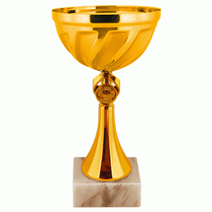 Кубок КМ2008