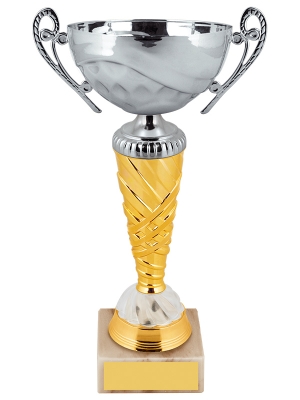 Кубок КМ2014