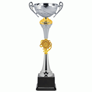 Кубок КМ2033