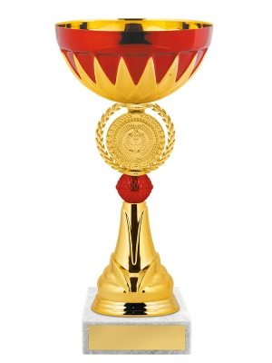 Кубок КМ1563
