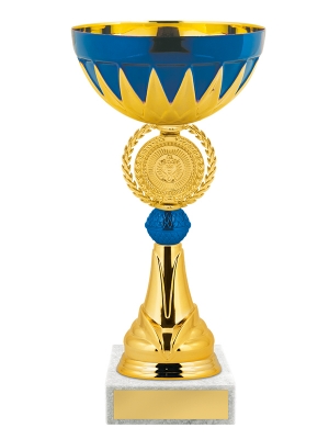 Кубок КМ1565