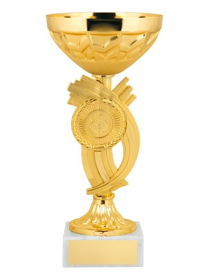 Кубок КМ1817